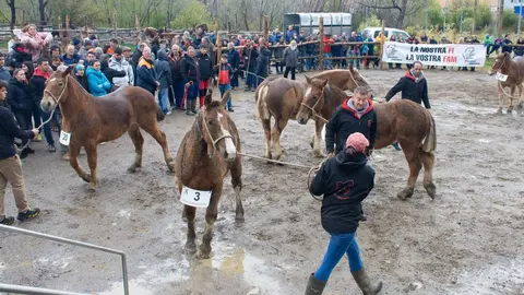 Fira de Primavera de Puigcerd&agrave; 26a edici&oacute;