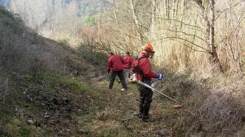 MANTENIMENT DE CAMINS