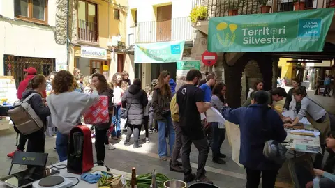Territori Silvestre Seu d'Urgell