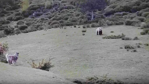 Os vall Ferrera