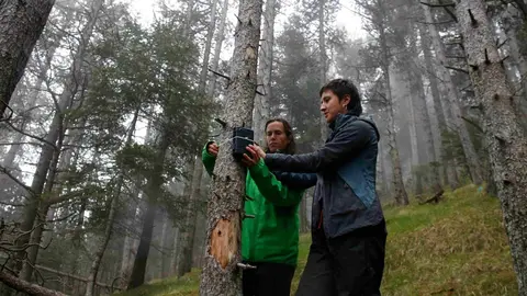 Investigadores en un bosc de pi negre del Pirineu 1
