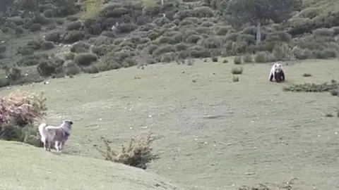 Os ramat &Agrave;reu