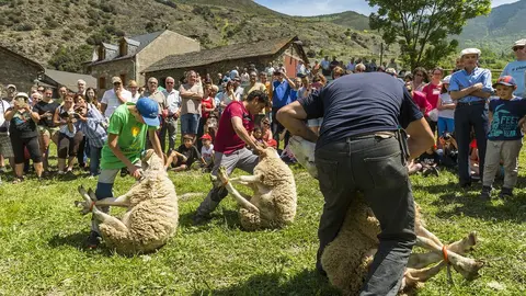 Fira de Productes del Parc Natural de l'Alt Pirineu i l'Ovella Aranesa 2