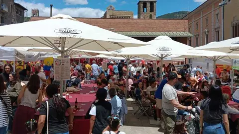 Mostra Intercultural de la Seu-3 (1)