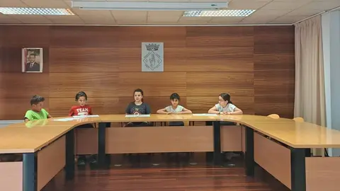 Tremp consell ifants