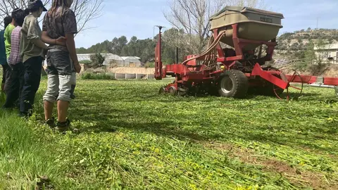 agricultura