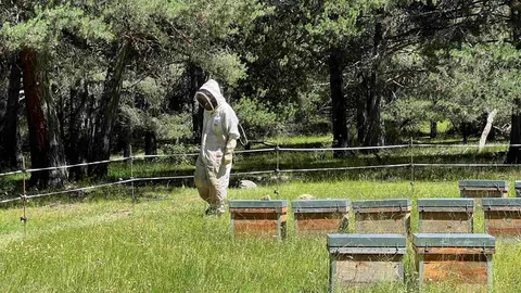 Os assentaments agr&iacute;coles 1