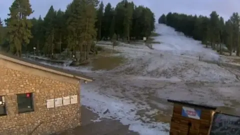 Calamarsada a Tuixent