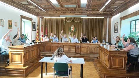 Ple Vielha
