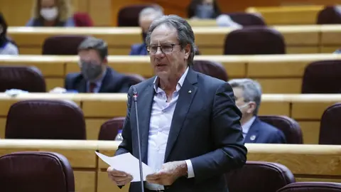 Miquel Caminal ple SENAT