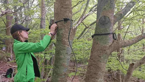 Parcs Naturals impacte visitants