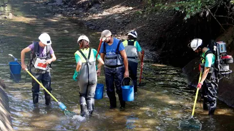 Canal de Soss&iacute;s truites 1