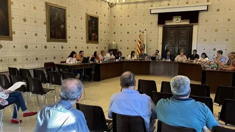 Ple la Seu setembre