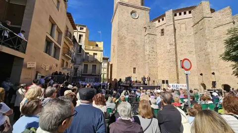 TREMP FESTA LLUM 4