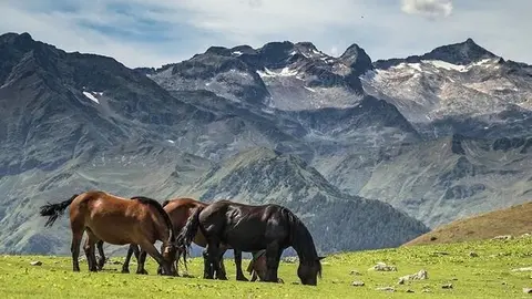 Aran reserva Biosfera FOTO Conselh Generau d'Aran Asier Torres