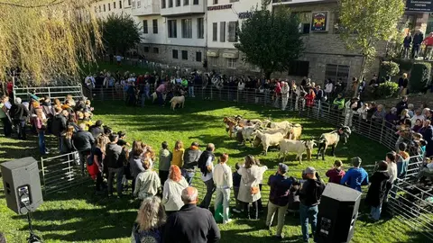 Fira tardor de Sort 2024
