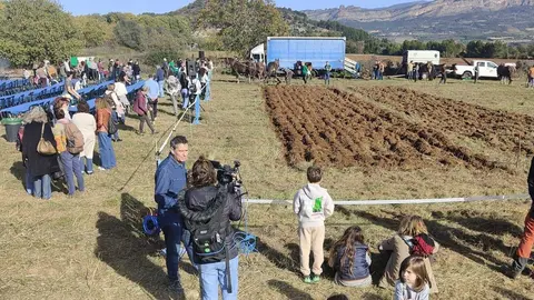 Fira de Sal&agrave;s LLAURADORS