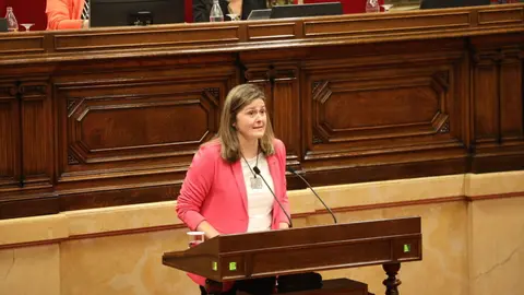 S&iacute;ndica d'Aran Parlament