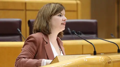 La senadora Sara Bailac durant la seva intervenci&oacute; al Senat