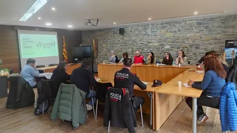 Taula Salut Mental Alta Ribagor&ccedil;a 2a sessi&oacute; plen&agrave;ria