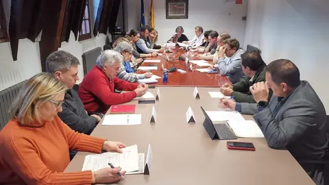 CCAU Ple febrer 2025