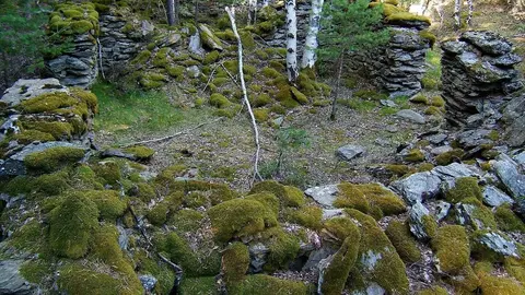 Bordes d'Arnui a Llavors&iacute;