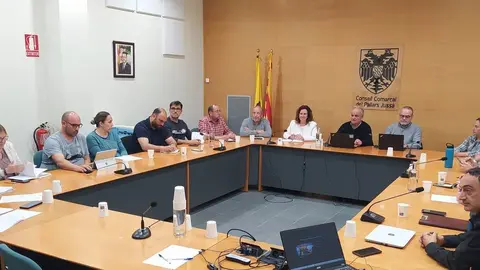 consell alcaldies Pallars Juss&agrave; 2025 abril