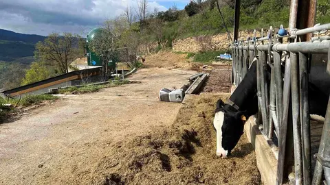 Estamariu biog&agrave;s 1