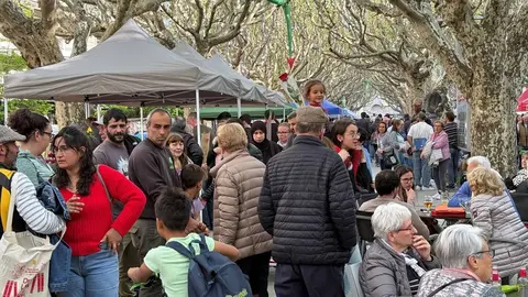 Sant Jordi 2025 FS