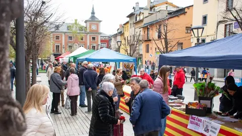 Sant Jordi 2025 Puigcerd&agrave;
