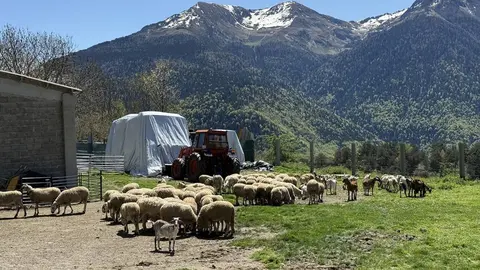 Ramat Vilam&ograve;s Aran 1