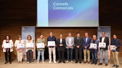 Consell Pallars Juss&agrave; premiat transformaci&oacute; digital