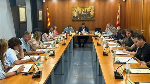 Consell Comarcal de la Cerdanya Guardia Civil