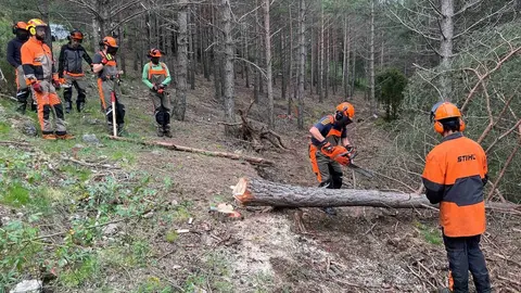 Aliny&agrave; curs motoserra 1