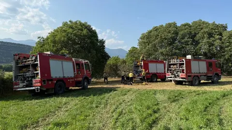 Incendi forestal Arfa