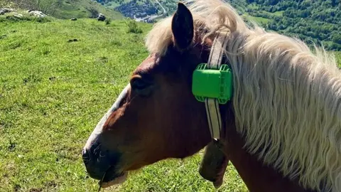 contr&ograve;l GPS entre es ramad&egrave;rs dera Val d&rsquo;Aran