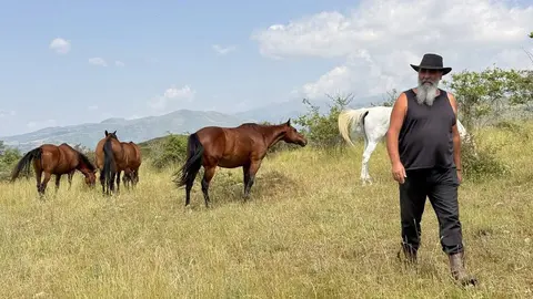 Cavalls Montcort&egrave;s 1