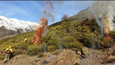 Pla de Prevenci&oacute; d&rsquo;Incendis Forestals del Parc Natural Alt Pirineu