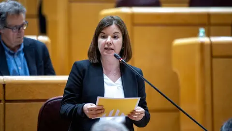 La senadora republicana Sara Bailac durant una intervenci&oacute;