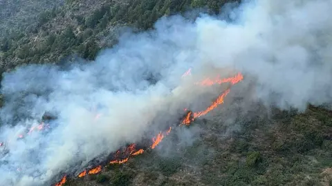 Incendi bosc d'Alins