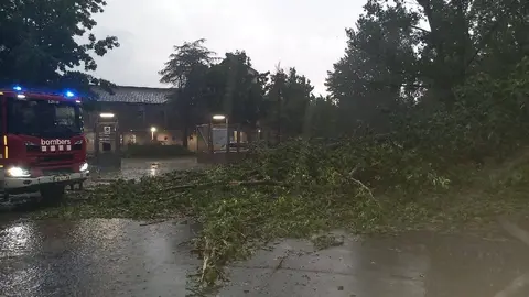 Tempesta la Seu 2