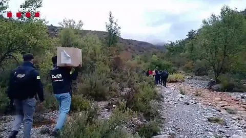 Marihuana Pallars Juss&agrave;
