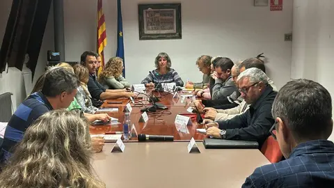 Ple Consell Comarcal Alt Urgell 6 novembre 2025