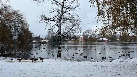 Nevada estany de Puigcerd&agrave; 21 novembre 