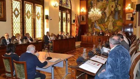 Ple_desembre_2025 Diputaci&oacute; Ll 1