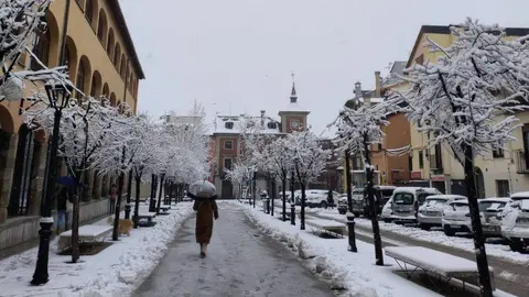 Puigcerd&agrave; nevada 2