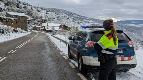 Mossos neu