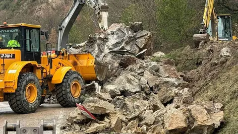 Esllavissada roca Ribera d'Urgellet C-14
