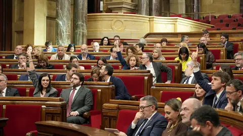 Parlament llei reconeixement Aran