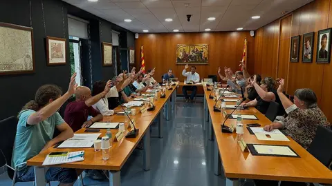 Consell Alcaldes de la Cerdanya